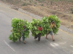 India, Mumbai to Nepal 025
